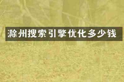 滁州搜索引擎优化多少钱