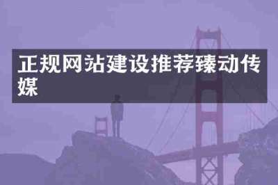 正规网站建设推荐臻动传媒