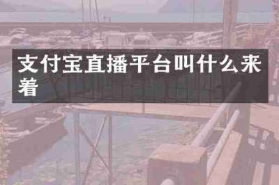 支付宝直播平台叫什么来着