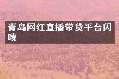 青岛网红直播带货平台闪唛