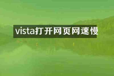 vista打开网页网速慢