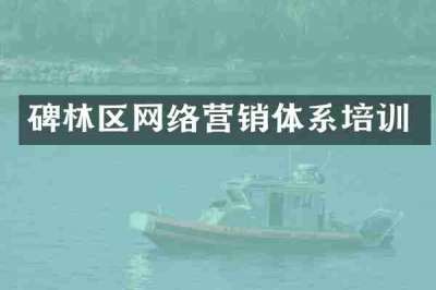 碑林区网络营销体系培训