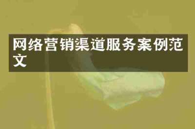 网络营销渠道服务案例范文