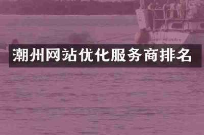 潮州网站优化服务商排名