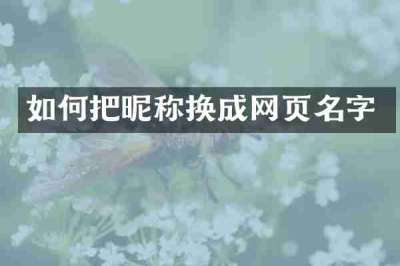 如何把昵称换成网页名字