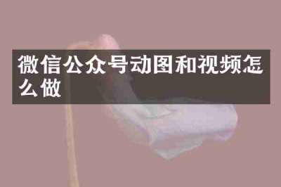 微信公众号动图和视频怎么做