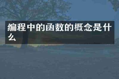 编程中的函数的概念是什么