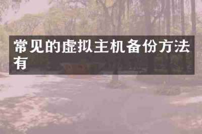 常见的虚拟主机备份方法有