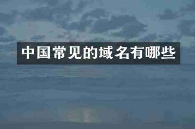 中国常见的域名有哪些