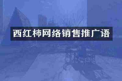 西红柿网络销售推广语