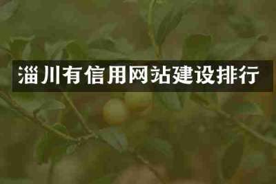 淄川有信用网站建设排行