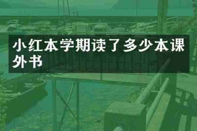 小红本学期读了多少本课外书