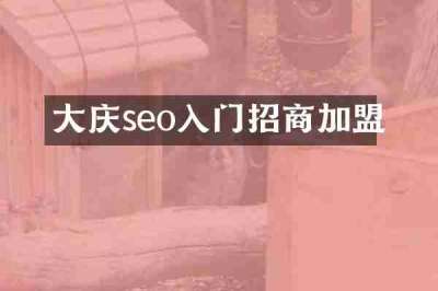 大庆seo入门招商加盟