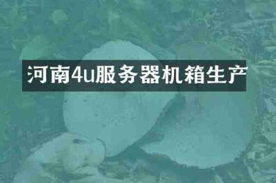河南4u服务器机箱生产