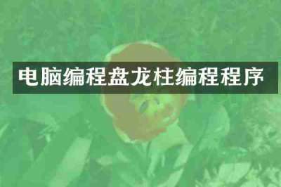 电脑编程盘龙柱编程程序