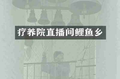 疗养院直播间鲤鱼乡