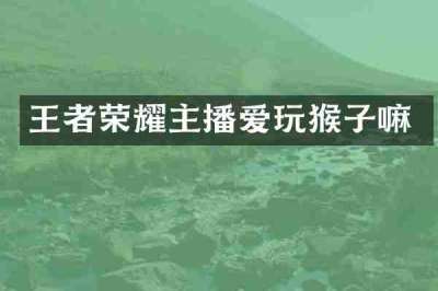 王者荣耀主播爱玩猴子嘛