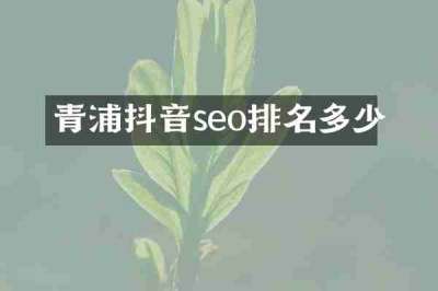 青浦抖音seo排名多少