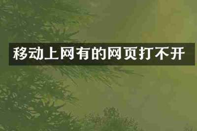 移动上网有的网页打不开