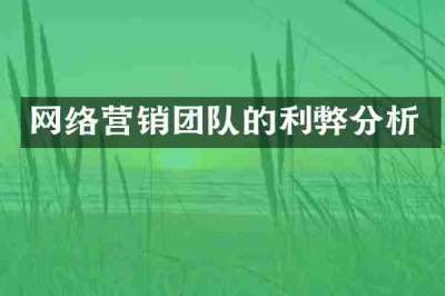 网络营销团队的利弊分析