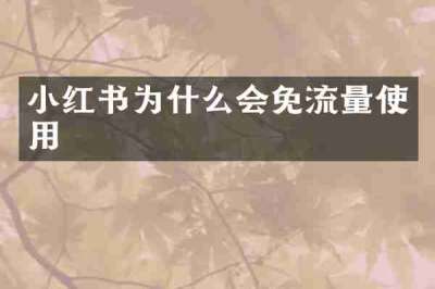 小红书为什么会免流量使用