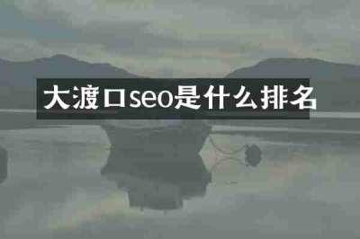 大渡口seo是什么排名