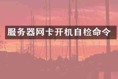 服务器网卡开机自检命令