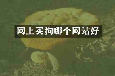 网上买狗哪个网站好