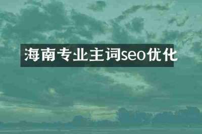 海南专业主词seo优化