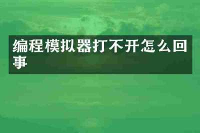 编程模拟器打不开怎么回事