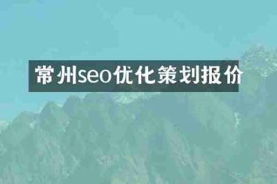 常州seo优化策划报价