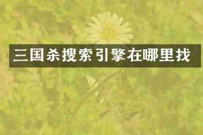 三国杀搜索引擎在哪里找
