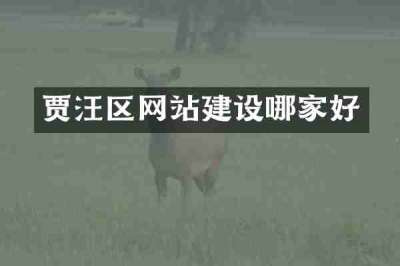 贾汪区网站建设哪家好