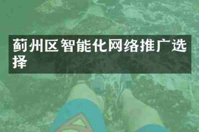 蓟州区智能化网络推广选择