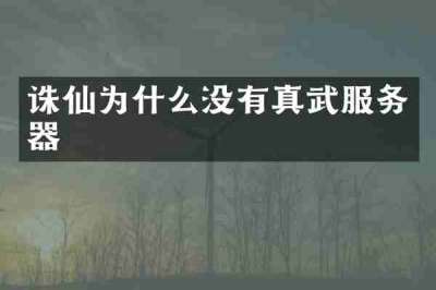 诛仙为什么没有真武服务器