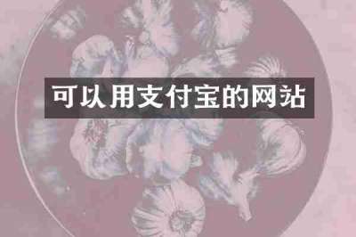 可以用支付宝的网站
