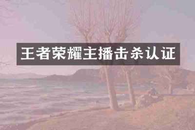 王者荣耀主播击杀认证