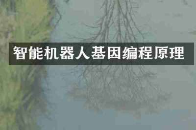 智能机器人基因编程原理