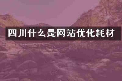 四川什么是网站优化耗材