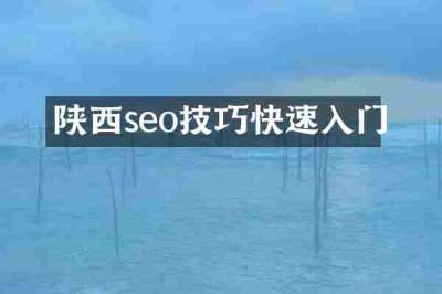 陕西seo技巧快速入门