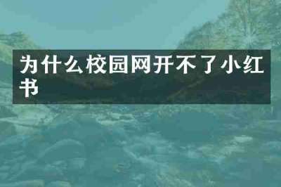 为什么校园网开不了小红书