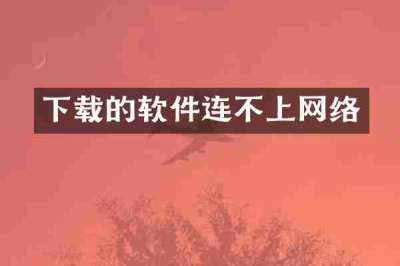 下载的软件连不上网络