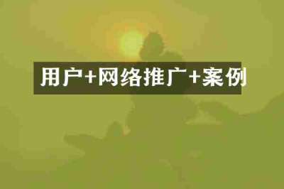 用户+网络推广+案例