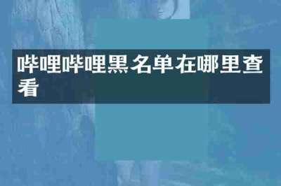 哔哩哔哩黑名单在哪里查看