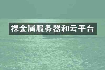 裸金属服务器和云平台