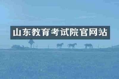 山东教育考试院官网站