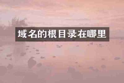 域名的根目录在哪里