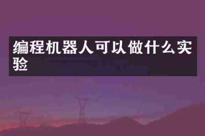 编程机器人可以做什么实验