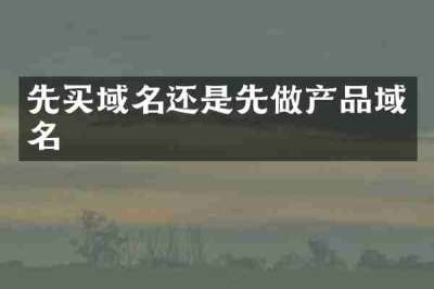 先买域名还是先做产品域名