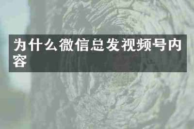为什么微信总发视频号内容